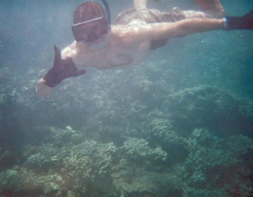Me loving the snorkeling.
