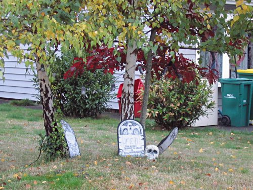 The grave yard...
