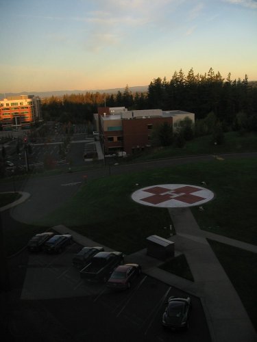 The start of a beautiful, Oregon day!  Looking out the window of the delivery room.

