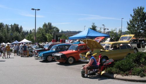 Some of the Type 3's, with a very yellow Type 4 next to my baby.
