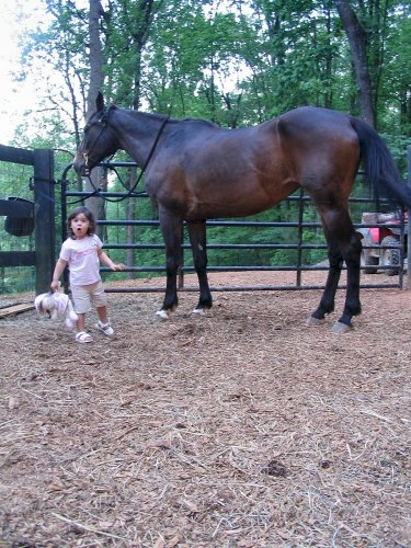 "Daddy, that's a horse!"  Now repeat that a dozen times...
