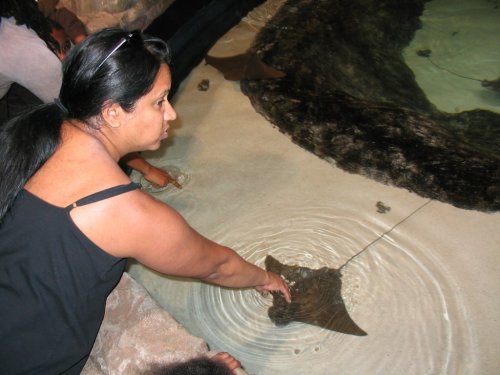 Not sure if I wanna do this...
