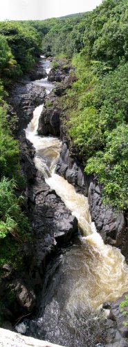 Looking upstream from the bridge.
