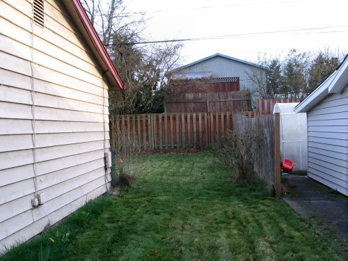 Looking into backyard where shed will go.
