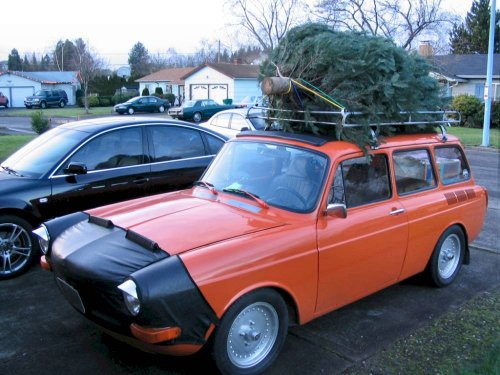 My trusty baby brought home the Christmas tree!
