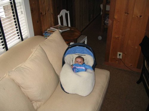 Peek-a-boo!  I see a little monkey :-)
