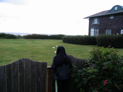 Nice house, nice big yard, and bunnies everywhere!
