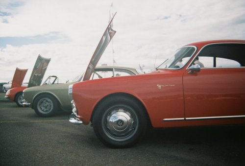 Alfa Romeo corral
Up front, a 1961 Alfa Romeo Sprint Veloce
